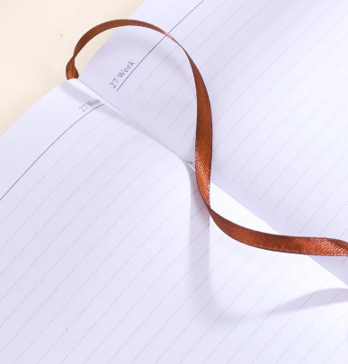 Agenda planificadora 2026